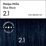 Argan Oil Advanced Colorant 2.1 Μαύρο Μπλε - Image 2