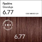 Argan Oil Advanced Colorant 6.77 Πραλίνα - Image 2