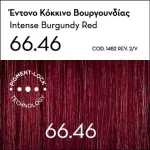 Argan Oil Advanced Colorant 66.46 Έντονο Κόκκινο Βουργουνδίας - Image 2