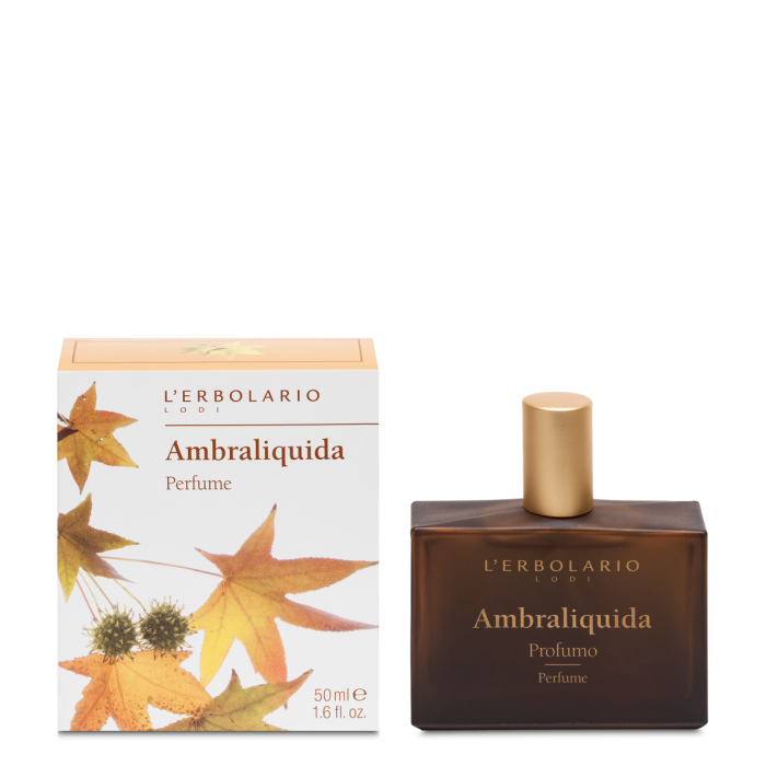 Άρωμα Ambraliquida 50ml - Image 1